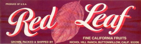 Red Leaf